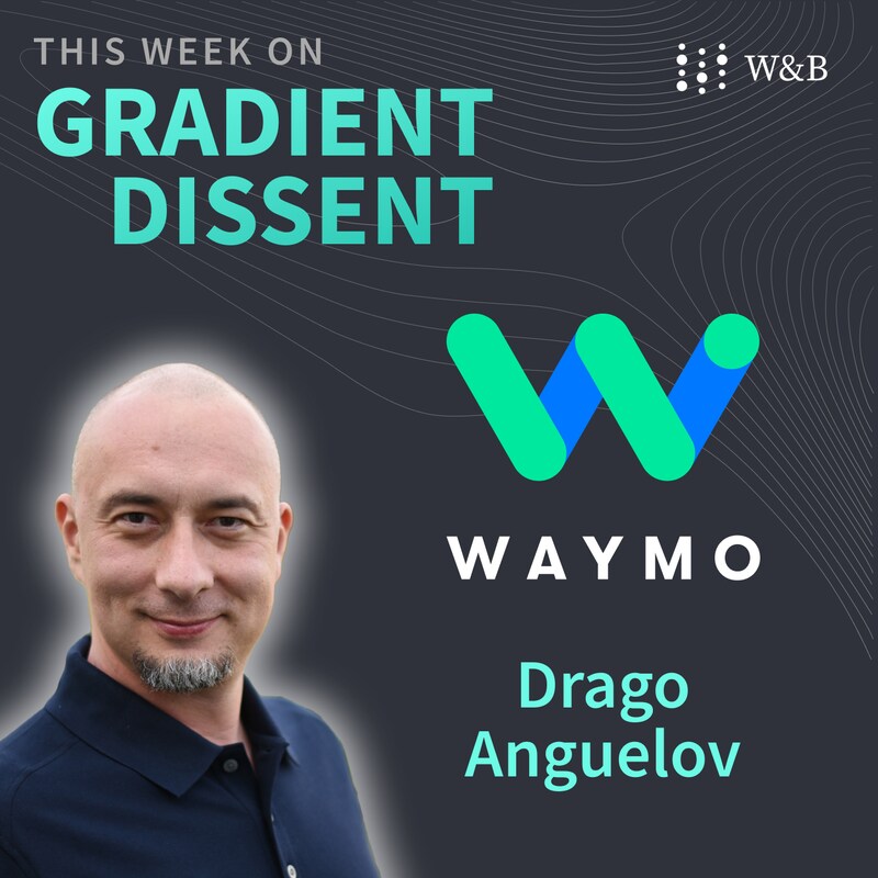 Artwork for podcast Gradient Dissent: Conversations on AI