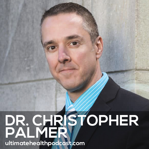 521: The Best Foods to Eat to Heal the Brain & Fight Disease | Dr. Christopher Palmer episode artwork
