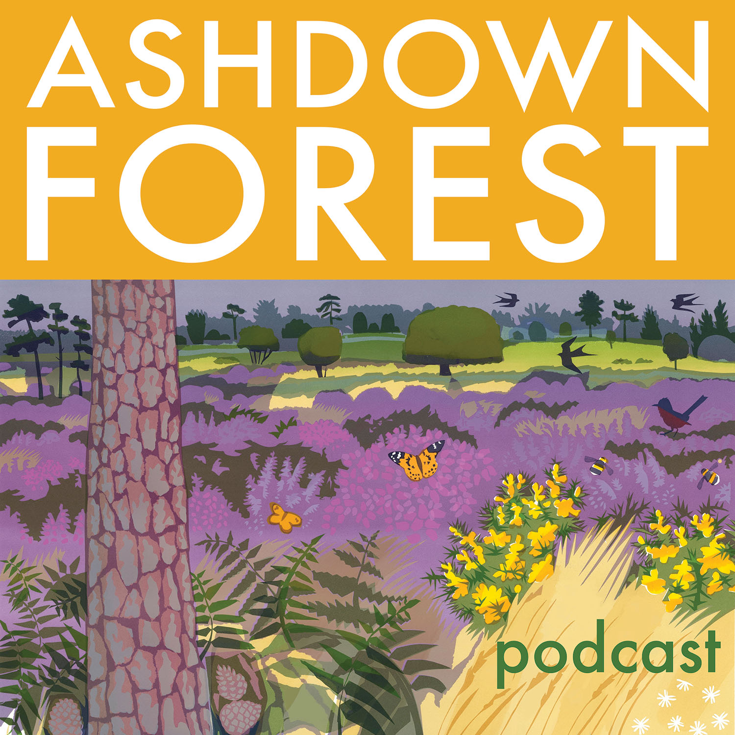Artwork for podcast Ashdown Forest podcast