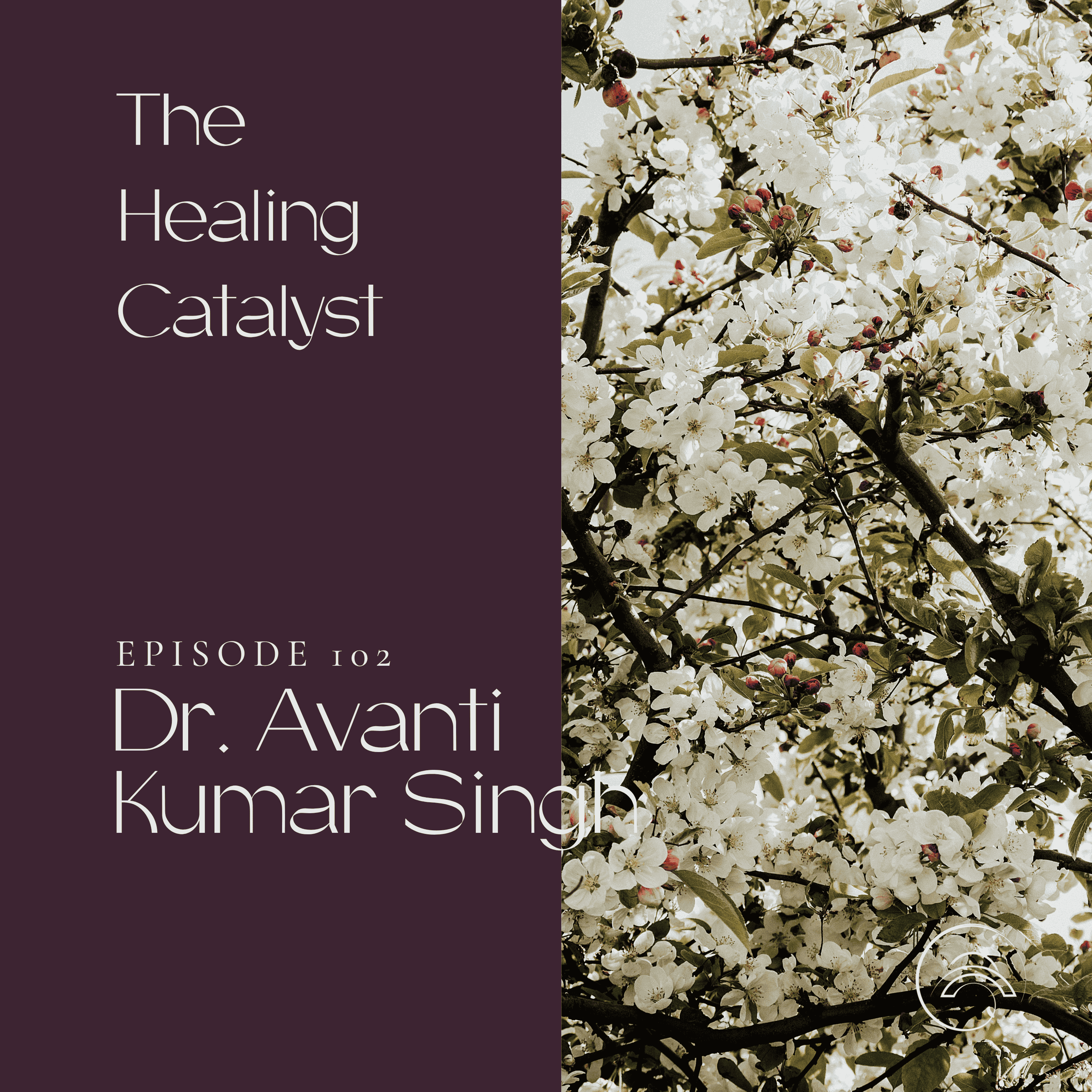 The Healing Catalyst