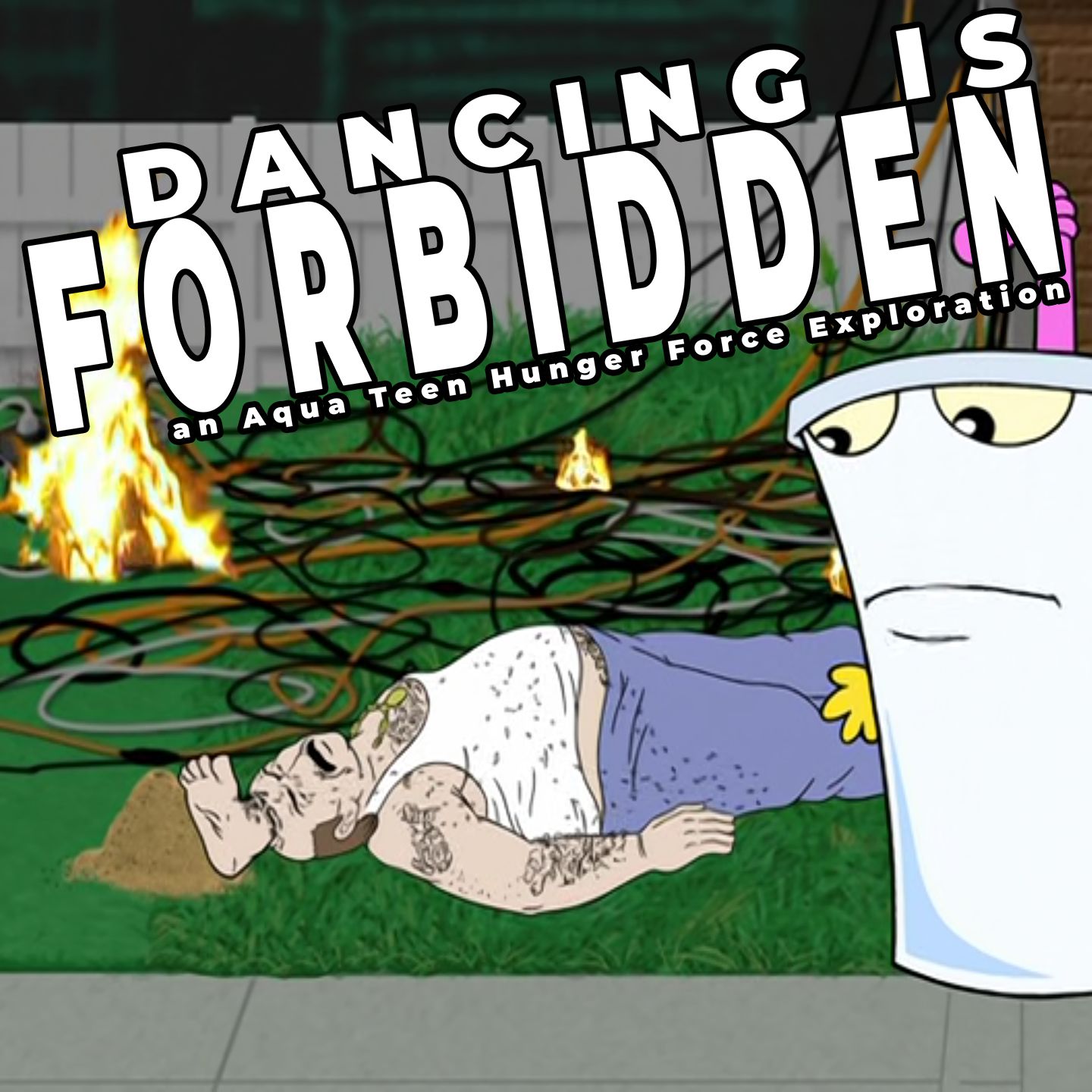 Super Squatter | Aqua Teen Hunger Force