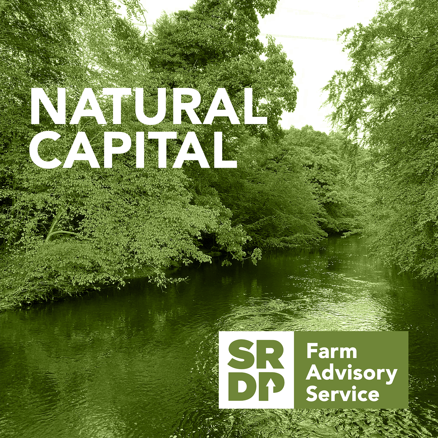 Artwork for podcast Natural Capital