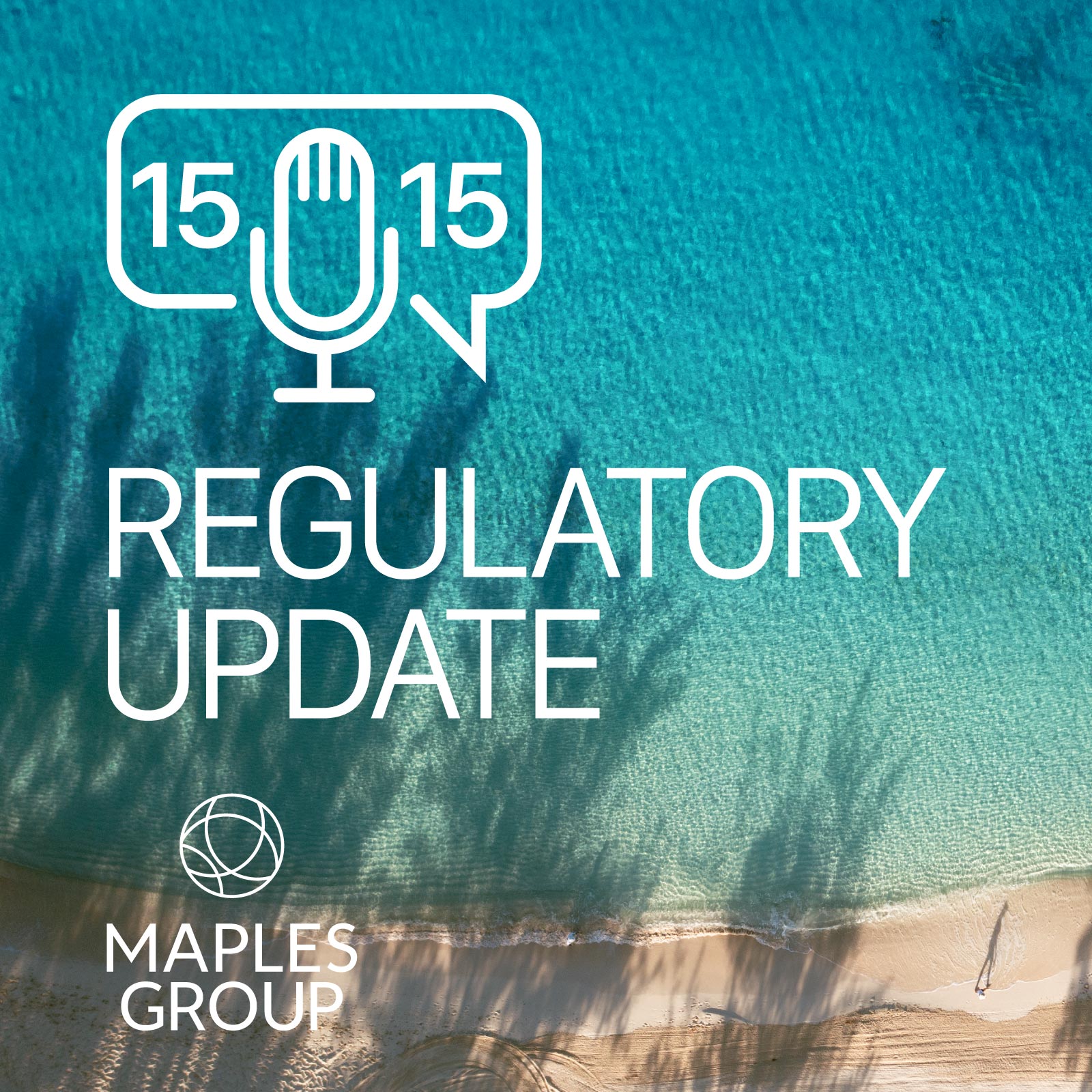 Artwork for The Regulatory 15/15