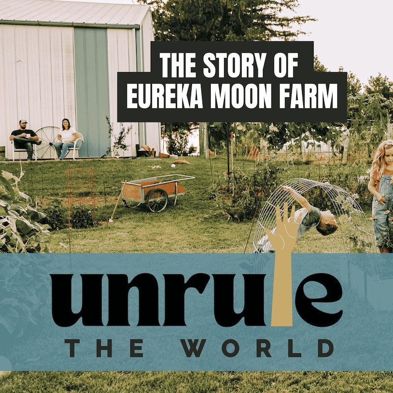 Artwork for podcast Wildly Intentional