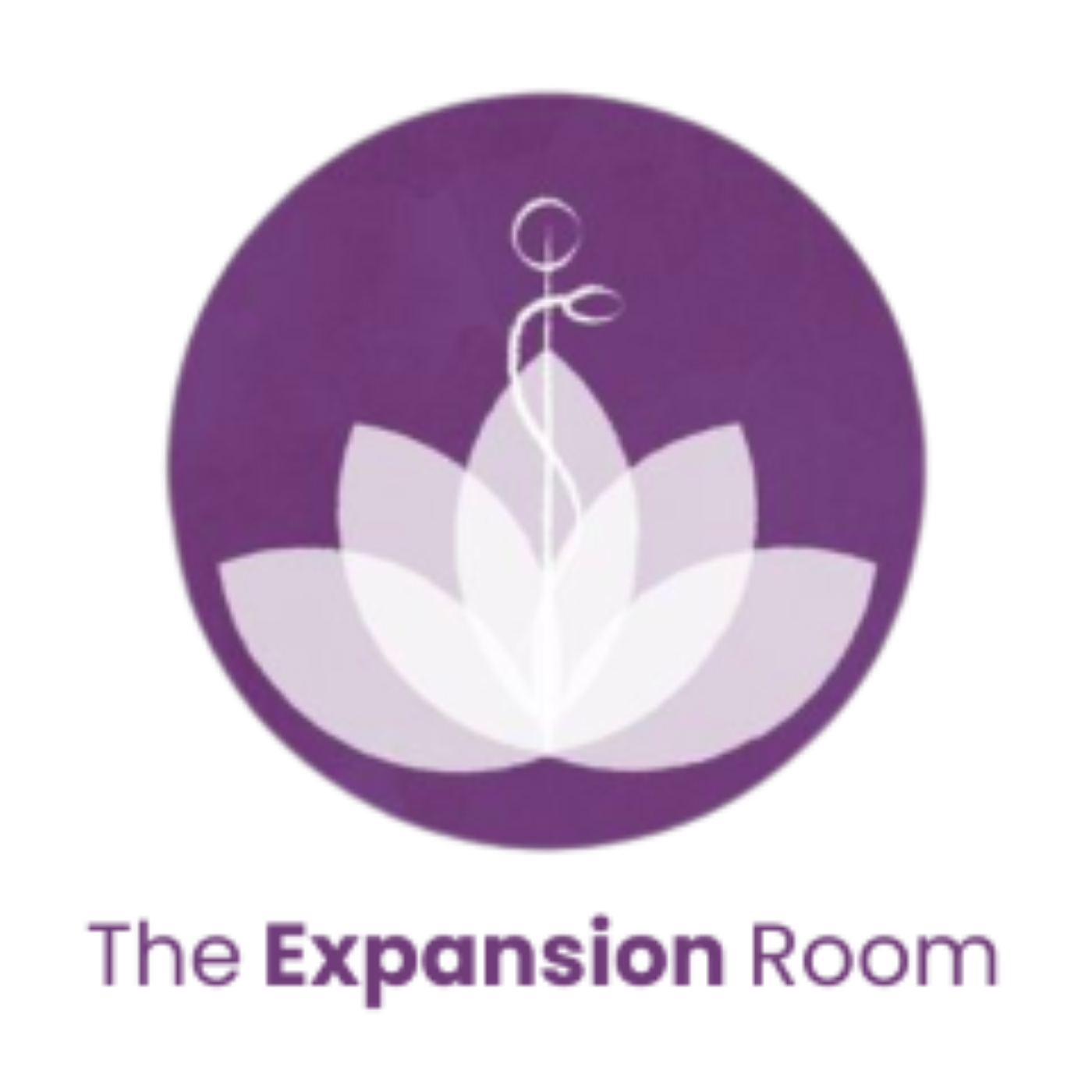 The Expansion Room