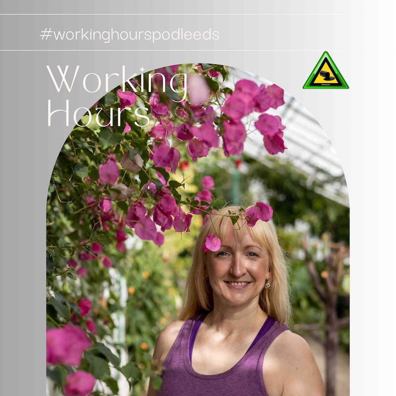 Artwork for podcast Working Hours