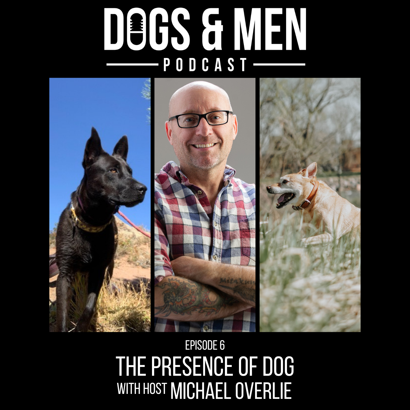 The Presence of Dog