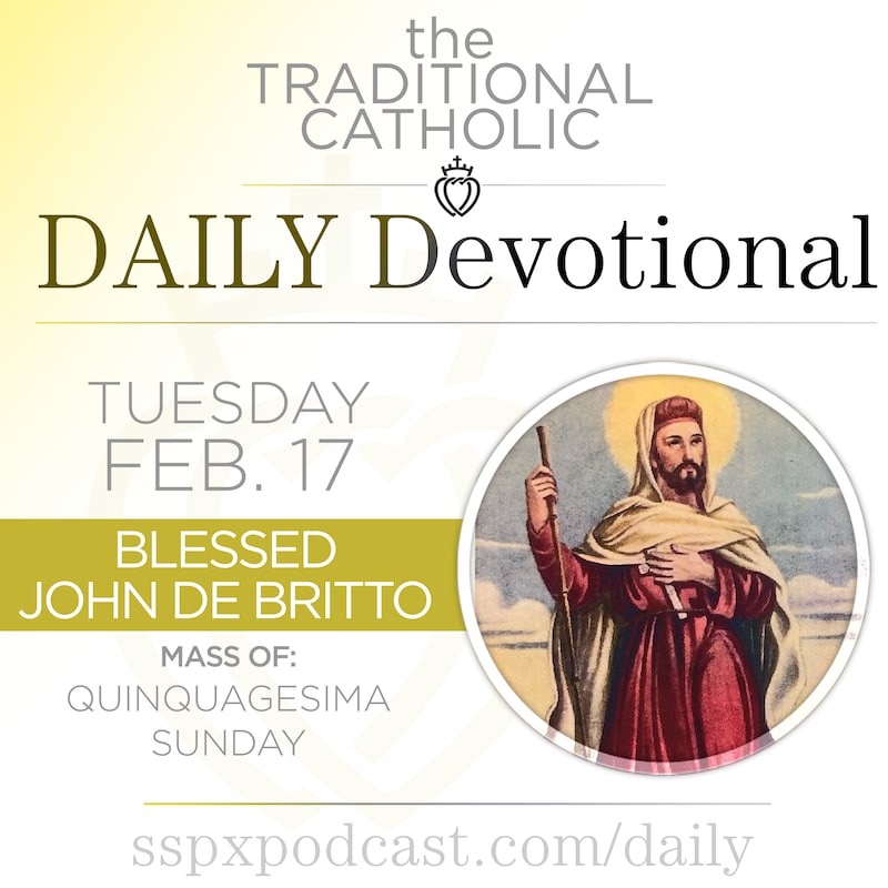 Artwork for podcast Traditional Catholic Daily Devotional