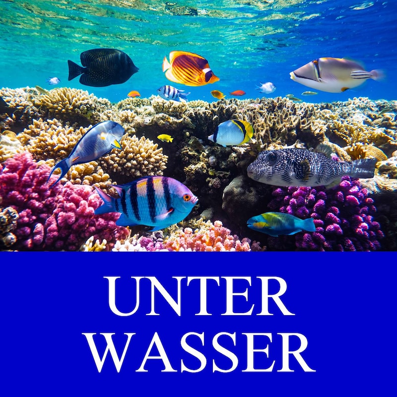 Artwork for podcast Mutter Natur | Naturmomente zum Entspannen und Einschlafen