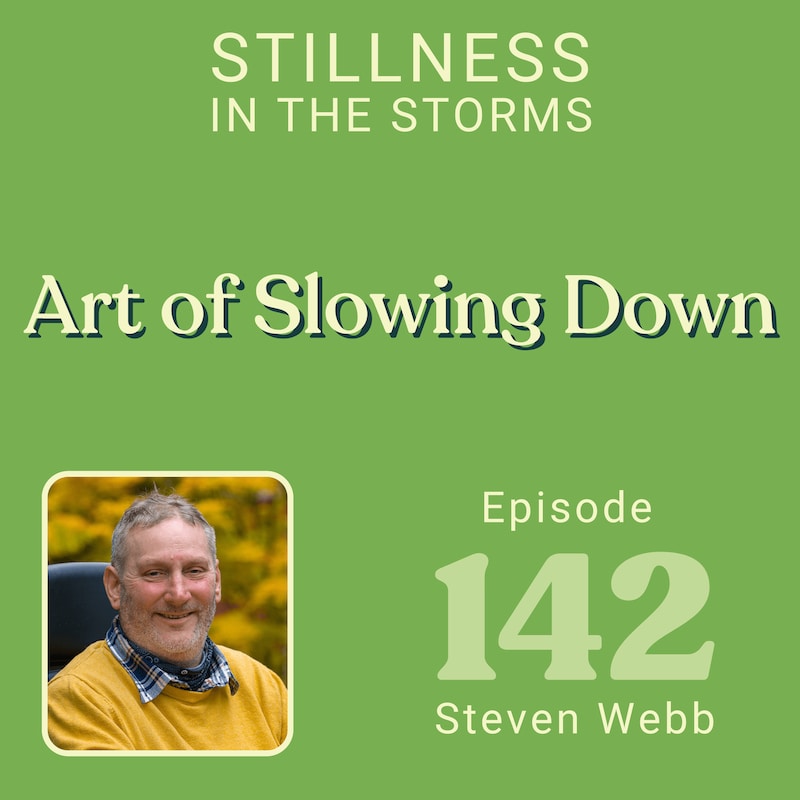 Artwork for podcast Stillness in the Storms