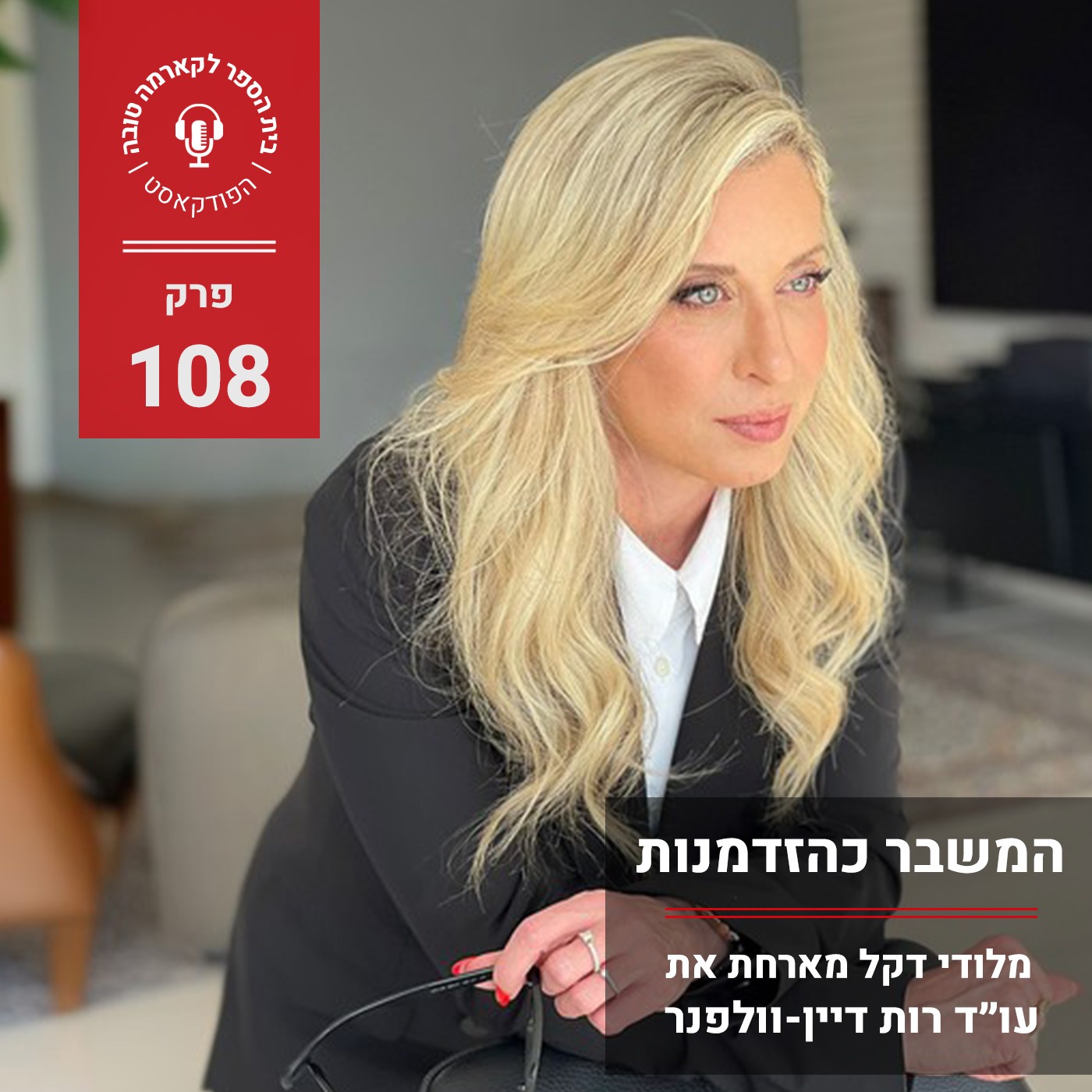 המשבר כהזדמנות - מלודי דקל מראיינת את עו"ד רות דיין וולפנר episode artwork
