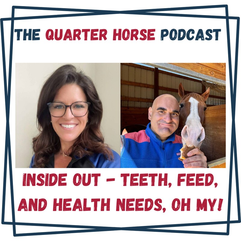 Artwork for podcast HORSES IN THE MORNING