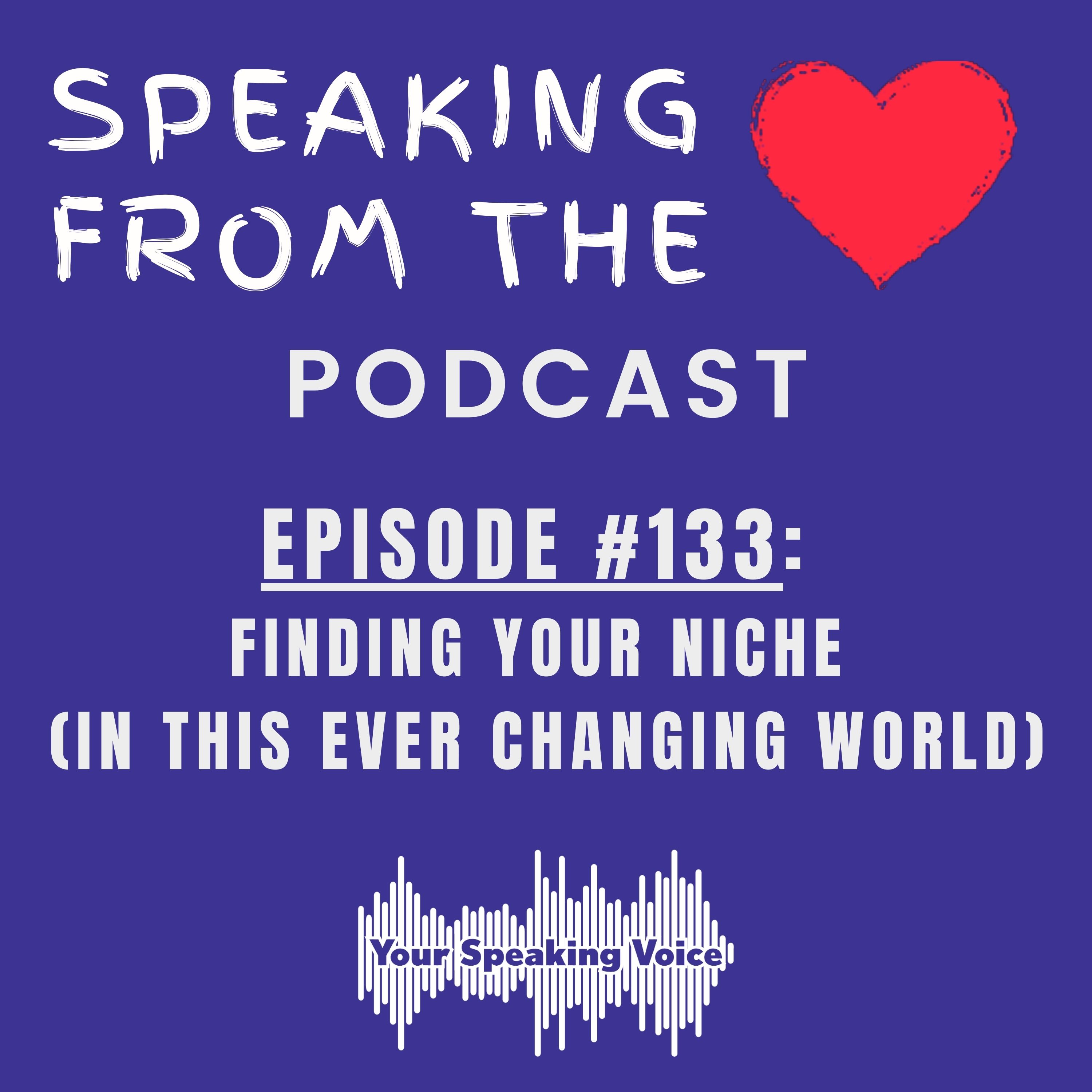 Episode #133 - Finding Your Niche (In This Ever Changing World) episode artwork