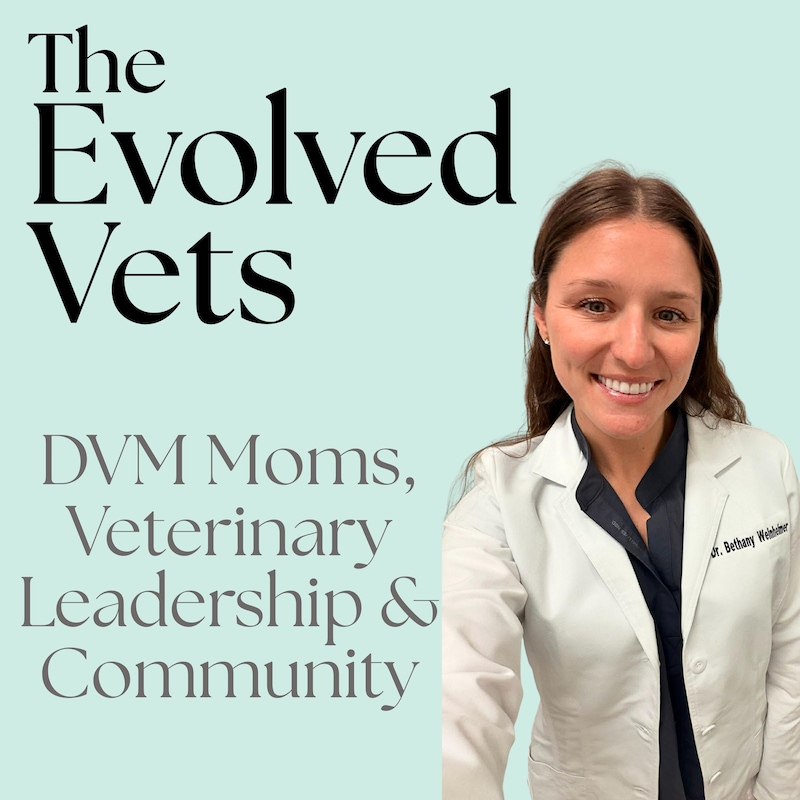Artwork for podcast The Evolved Vets