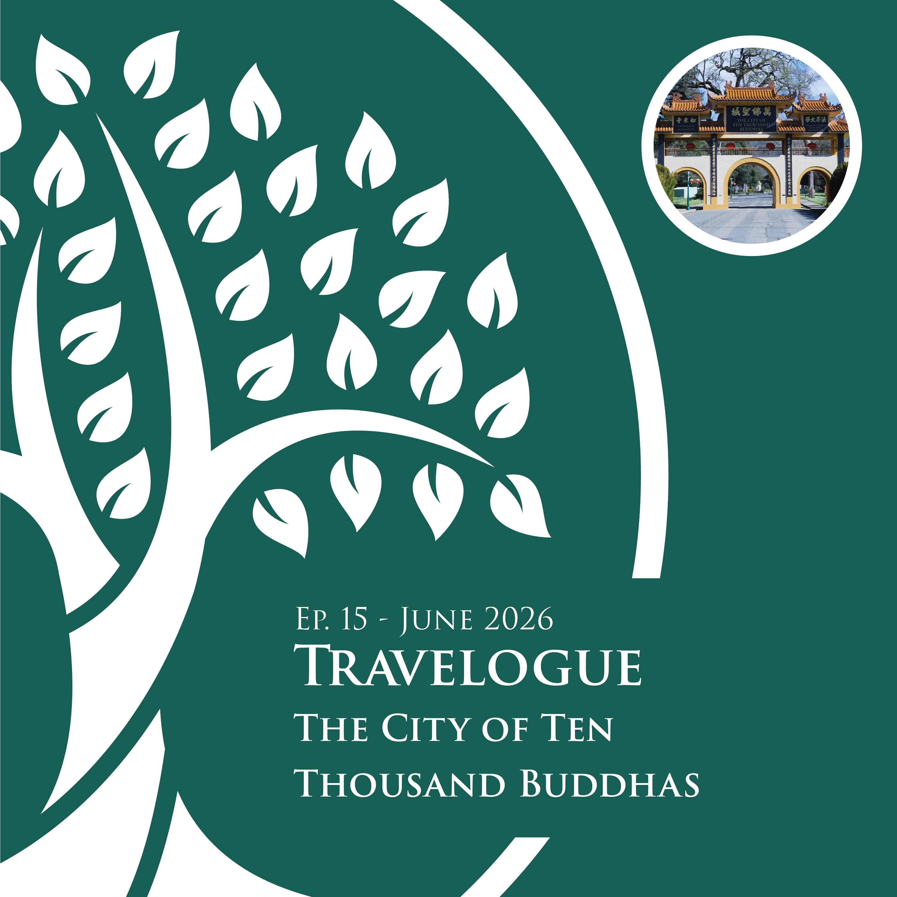 Travelogue: The City of Ten Thousand Buddhas