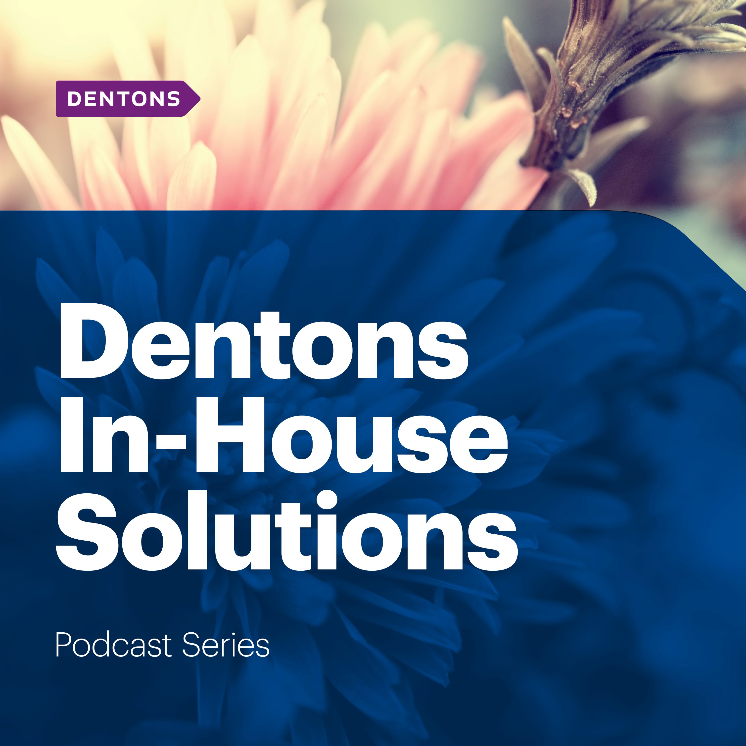 Show artwork for Dentons In-House Solutions