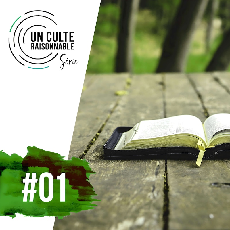 Artwork for podcast Un culte raisonnable