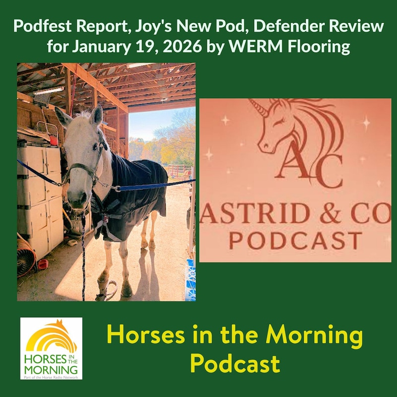 Artwork for podcast Horses in the Morning