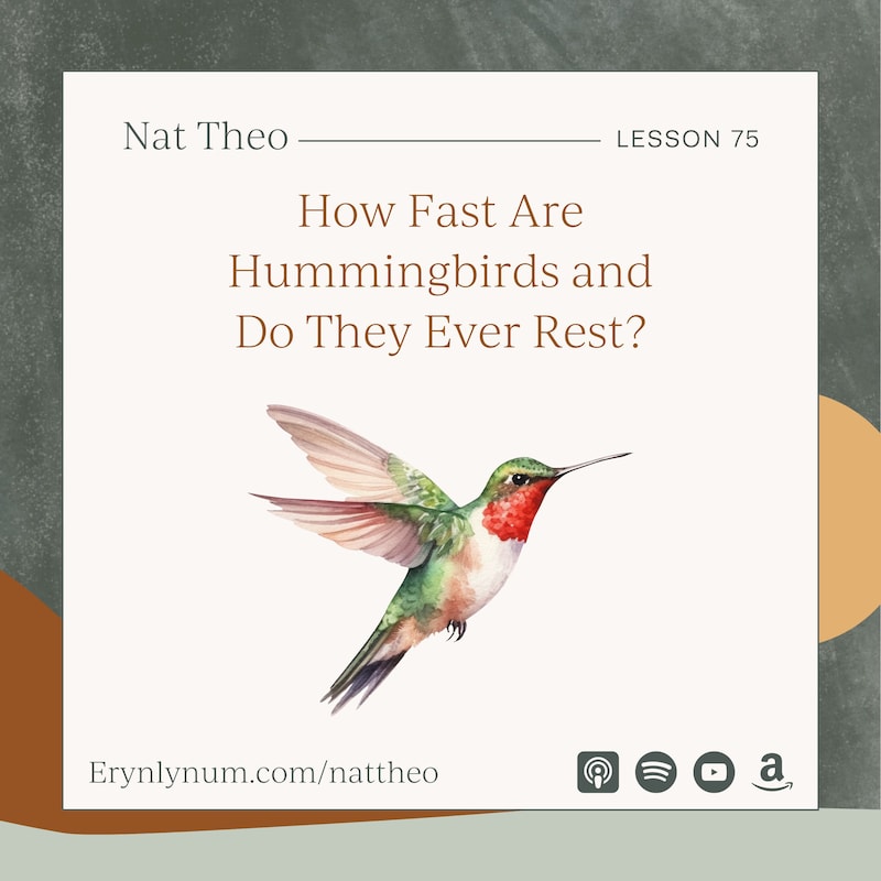 Artwork for podcast Nat Theo Nature Lessons Rooted in the Bible
