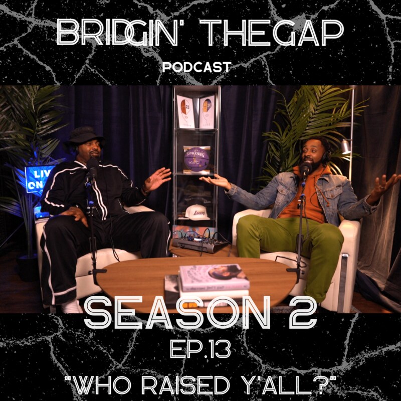 Artwork for podcast Bridgin' The Gap