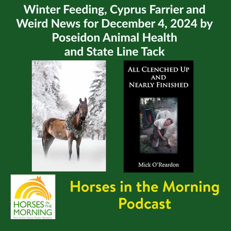 Artwork for podcast Horses in the Morning