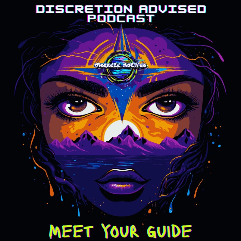 Artwork for podcast Discretion Advised