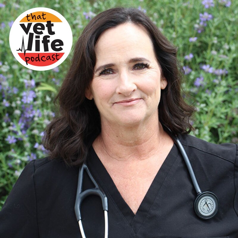 Artwork for podcast The 'So You're A Vet... Now What?' Podcast