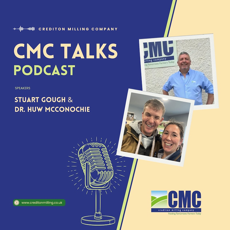 Artwork for podcast CMC Talks