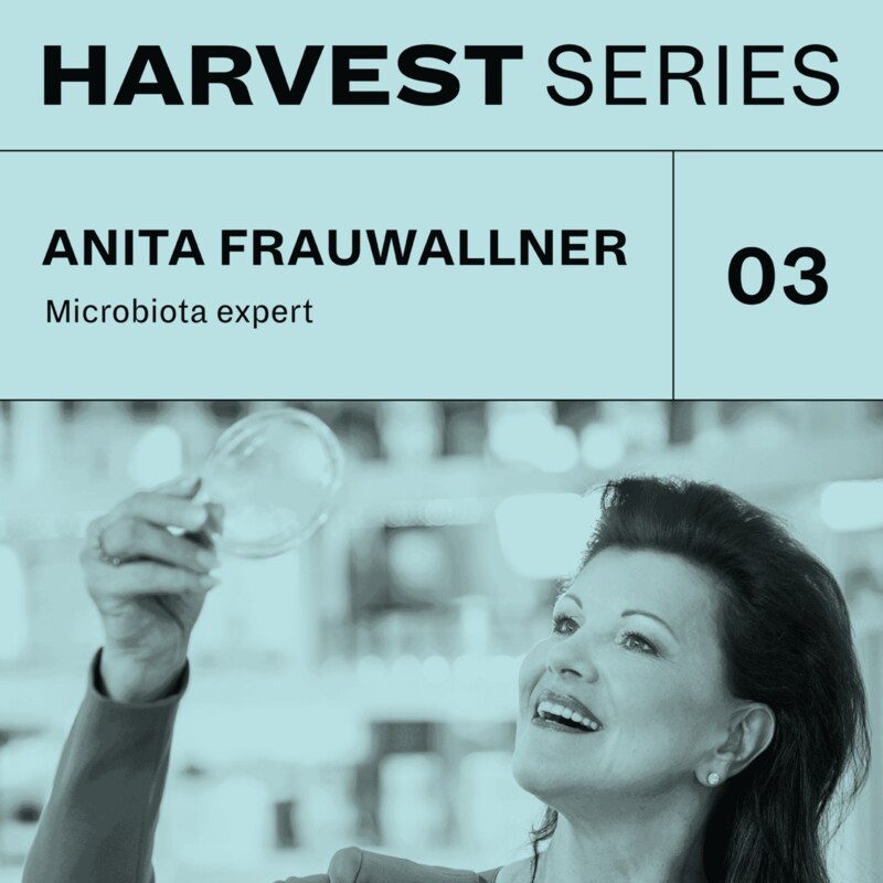 Artwork for podcast Harvest Series