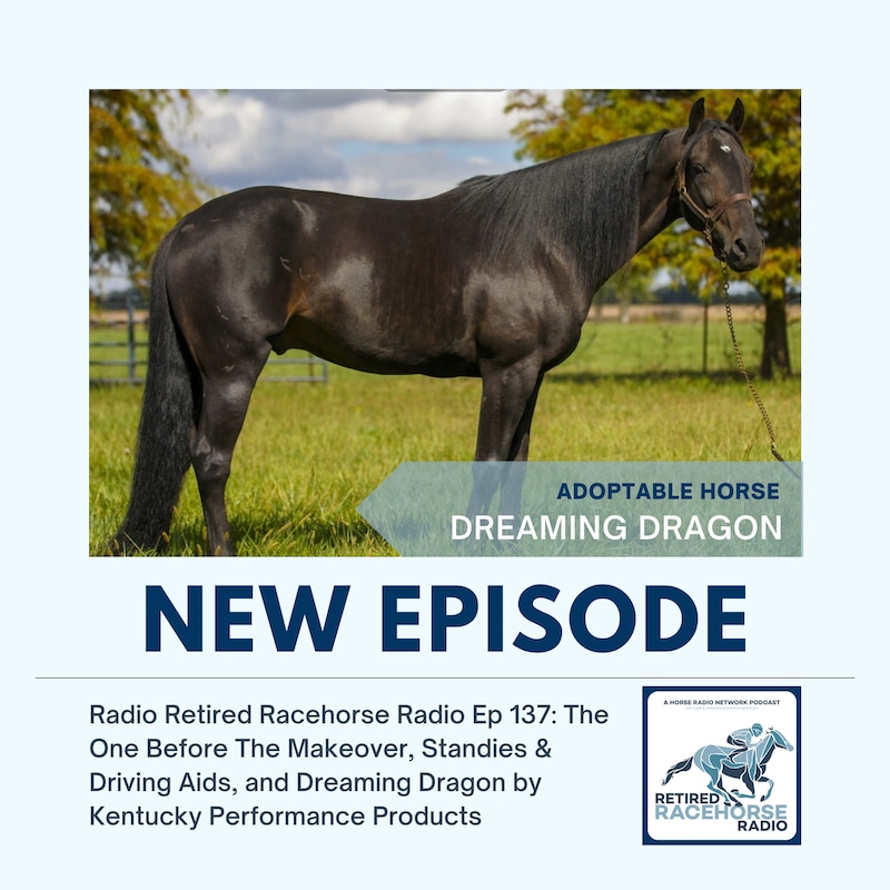 Artwork for podcast Retired Racehorse Radio