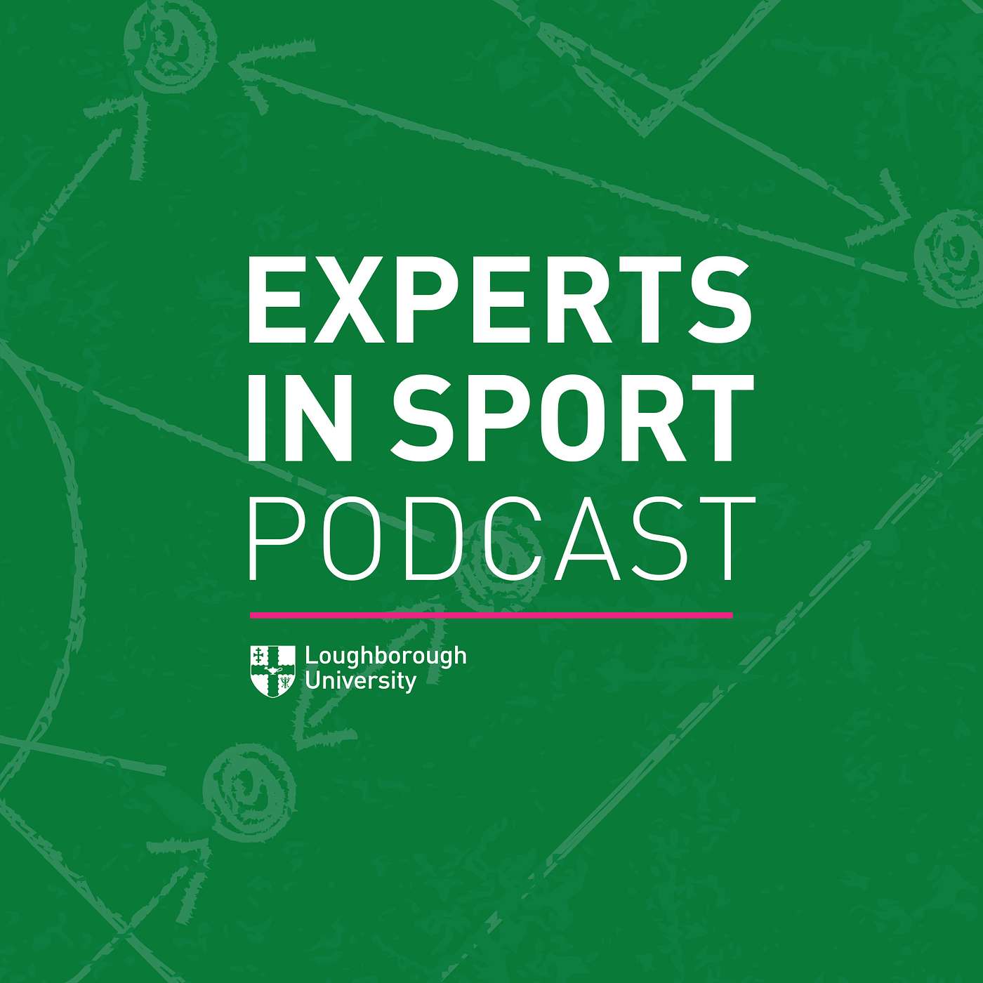 Experts in Sport