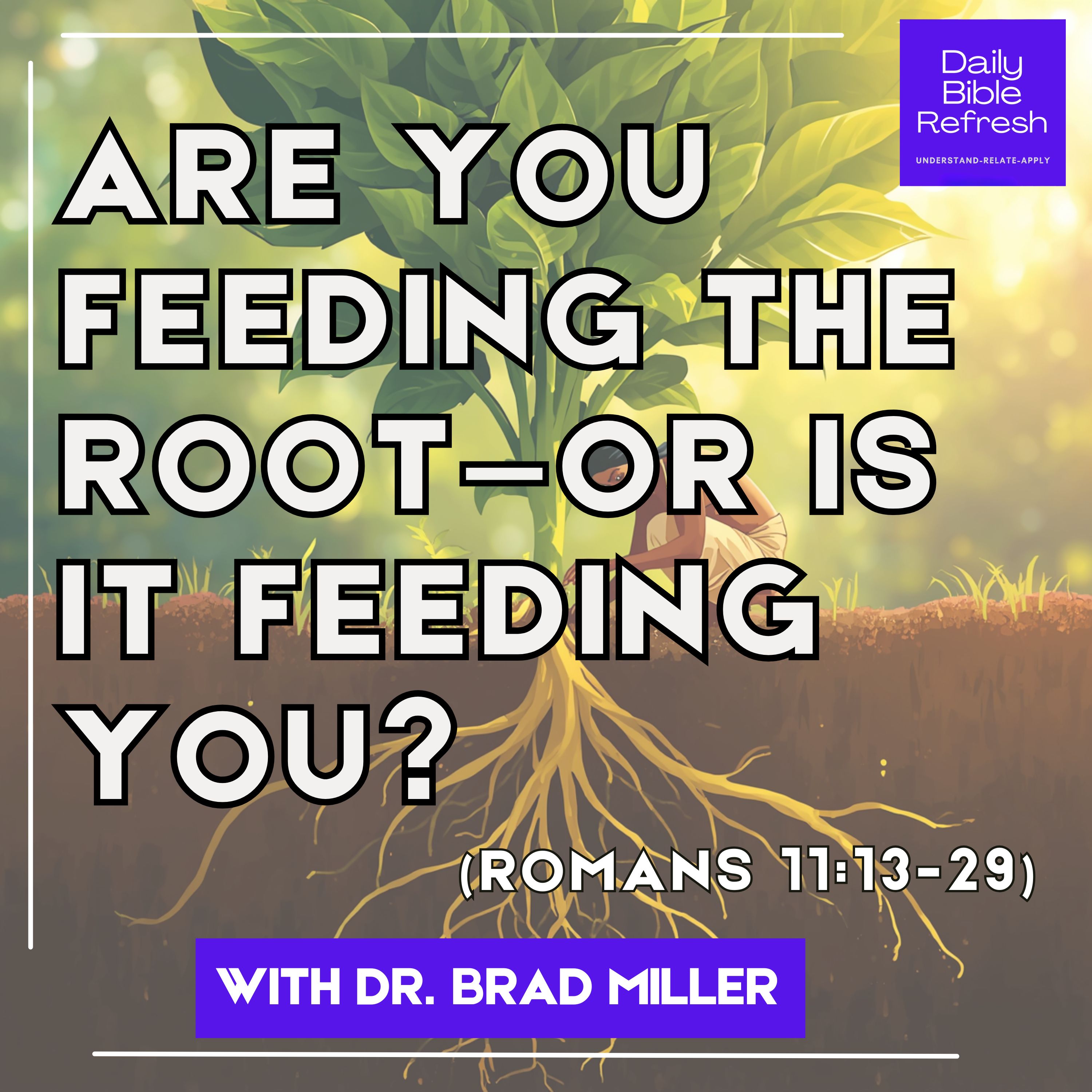 Are You Feeding the Root—or Is It Feeding You? (Romans 11:13-29) episode artwork