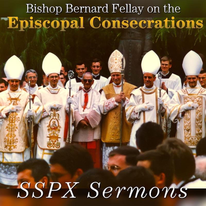 Artwork for podcast SSPX Sermons