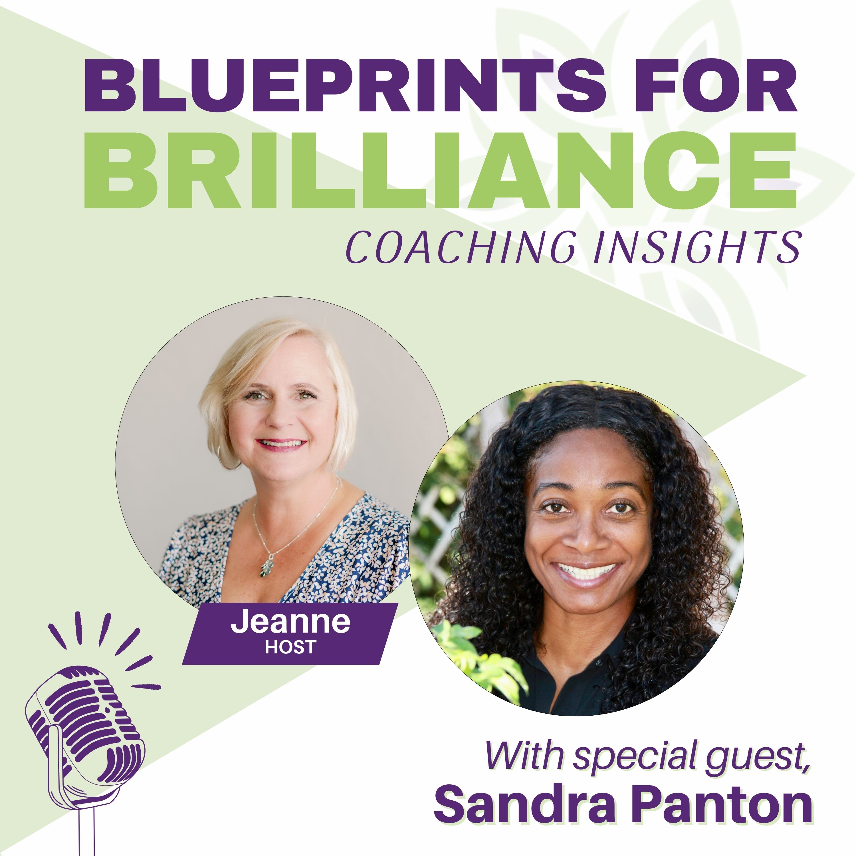 Blueprints for Brilliance: Coaching Insights