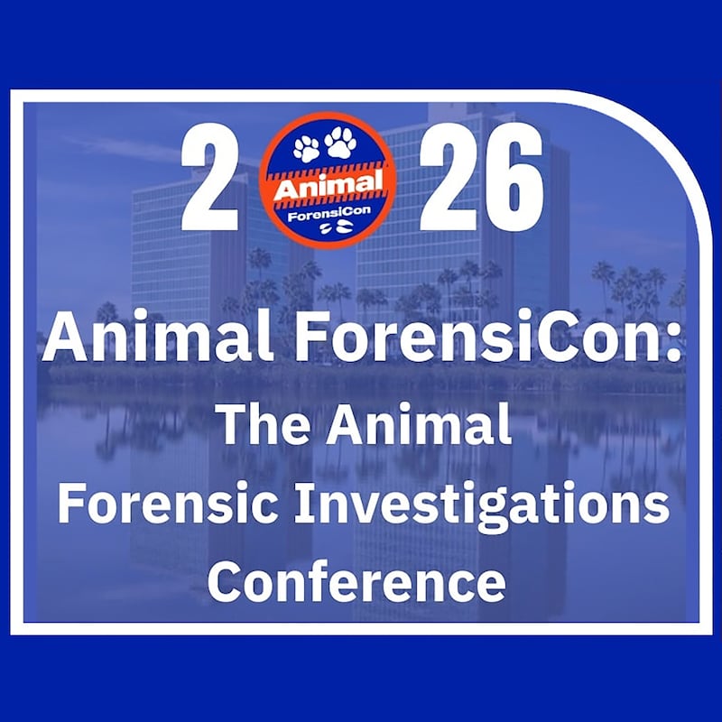 Artwork for podcast The Animal Welfare Junction