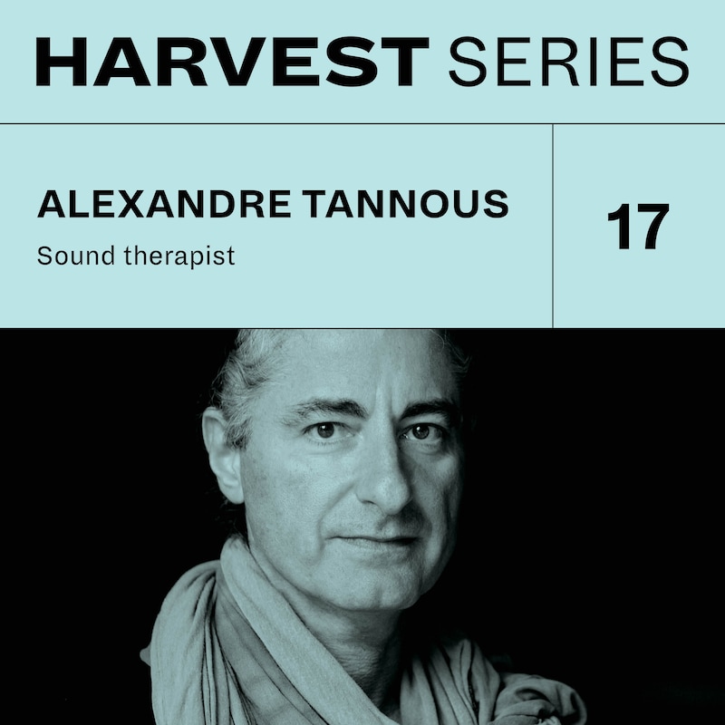 Artwork for podcast Harvest Series