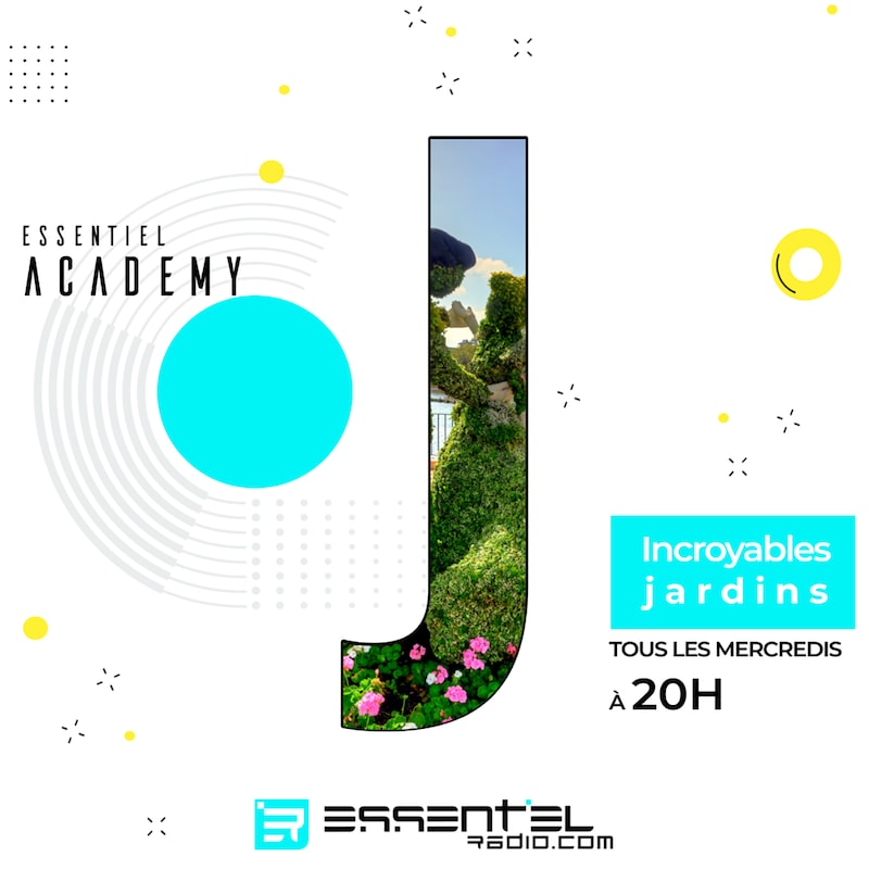 Artwork for podcast ESSENTIEL academy
