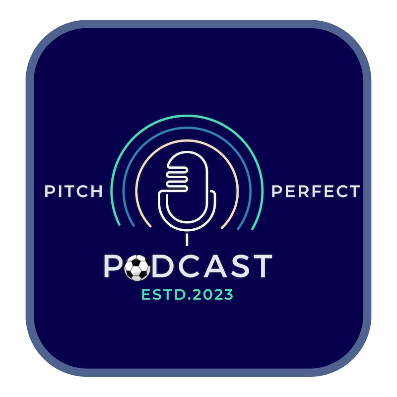Artwork for podcast Pitch Perfect