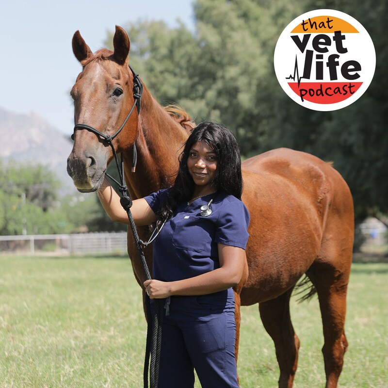 Artwork for podcast The 'So You're A Vet... Now What?' Podcast