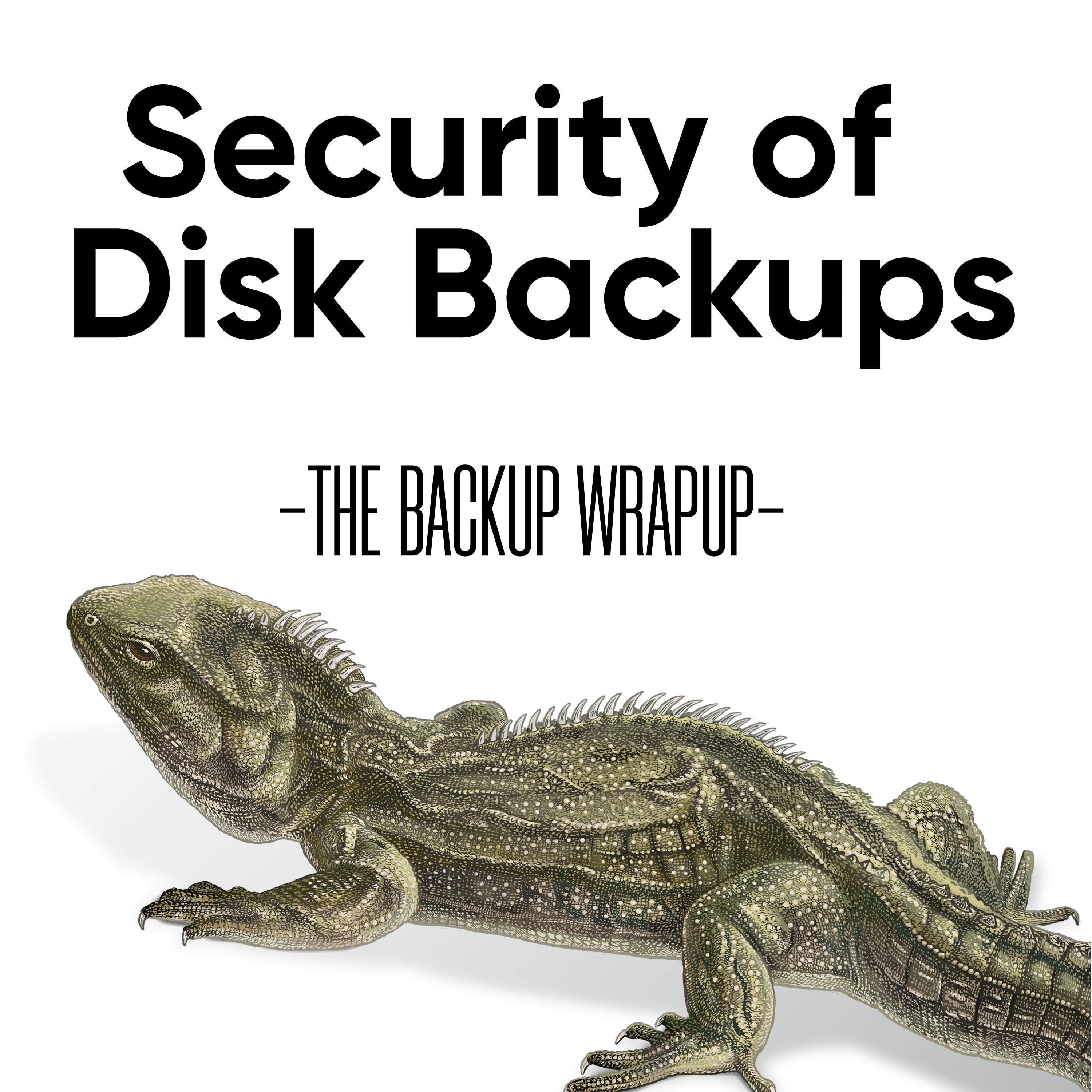 Disk Backup Security - Disk Make Things Worse?