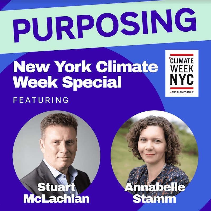 Artwork for podcast Purposing