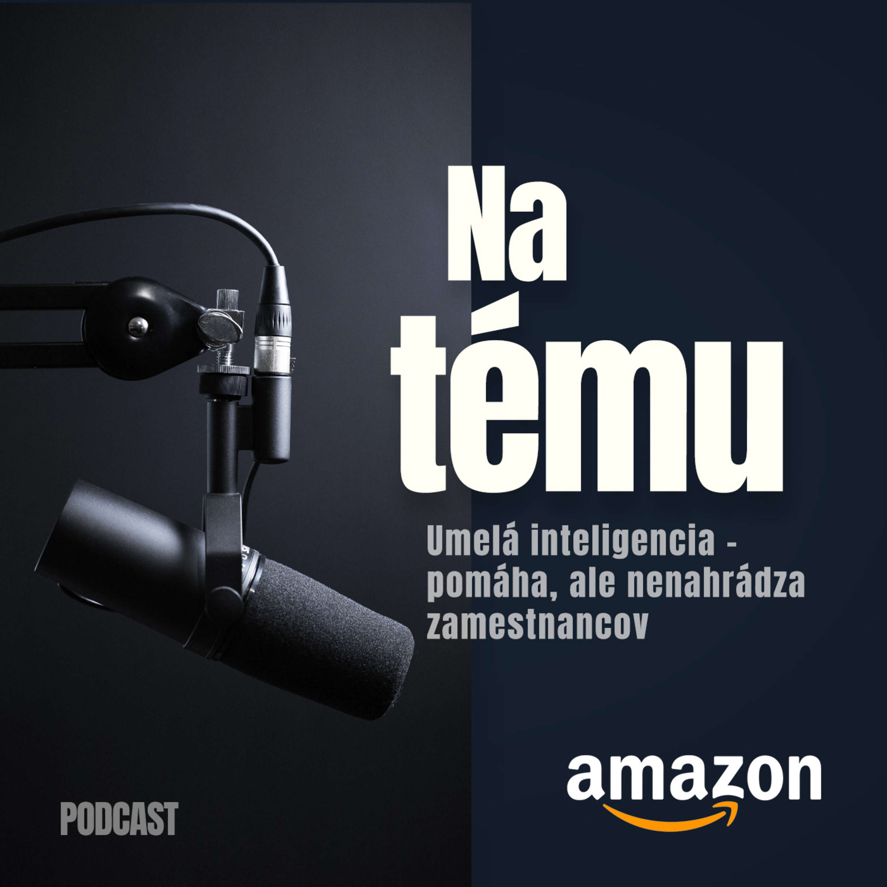 Na tému: Umelá inteligencia pomáha v práci, ale nenahrádza našich zamestnancov, hovorí manažér Amazonu na Slovensku episode artwork