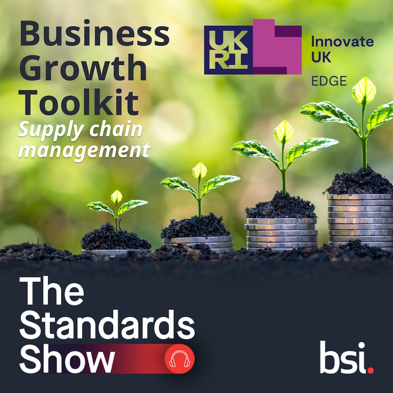 Artwork for podcast The Standards Show