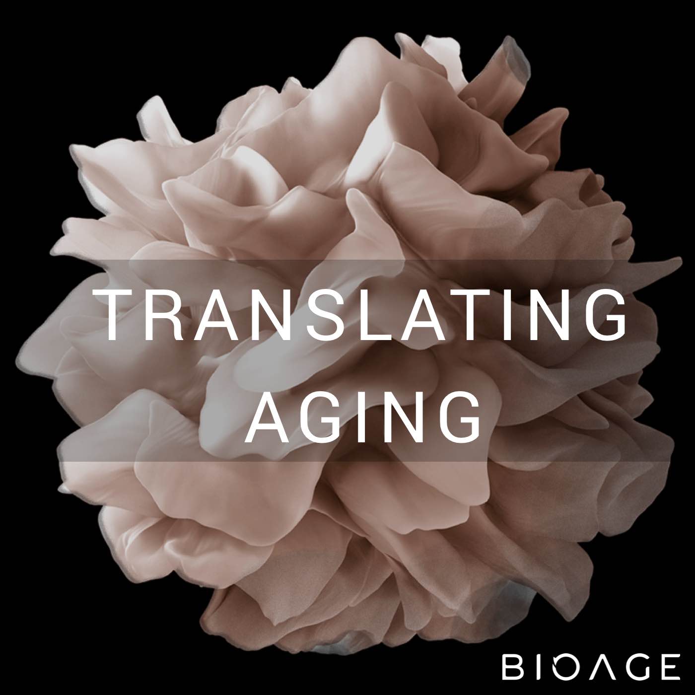 Artwork for podcast Translating Aging