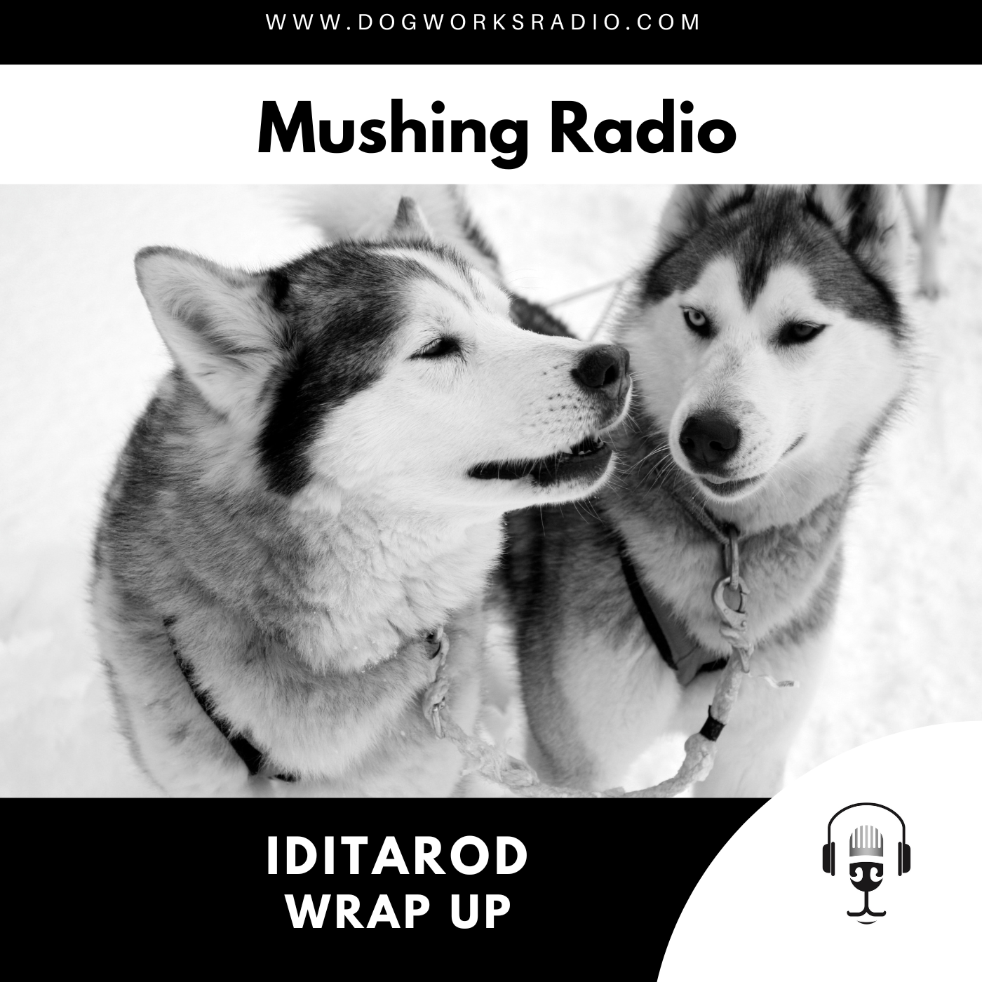 Iditarod Wrap Up | Iditarod 2023