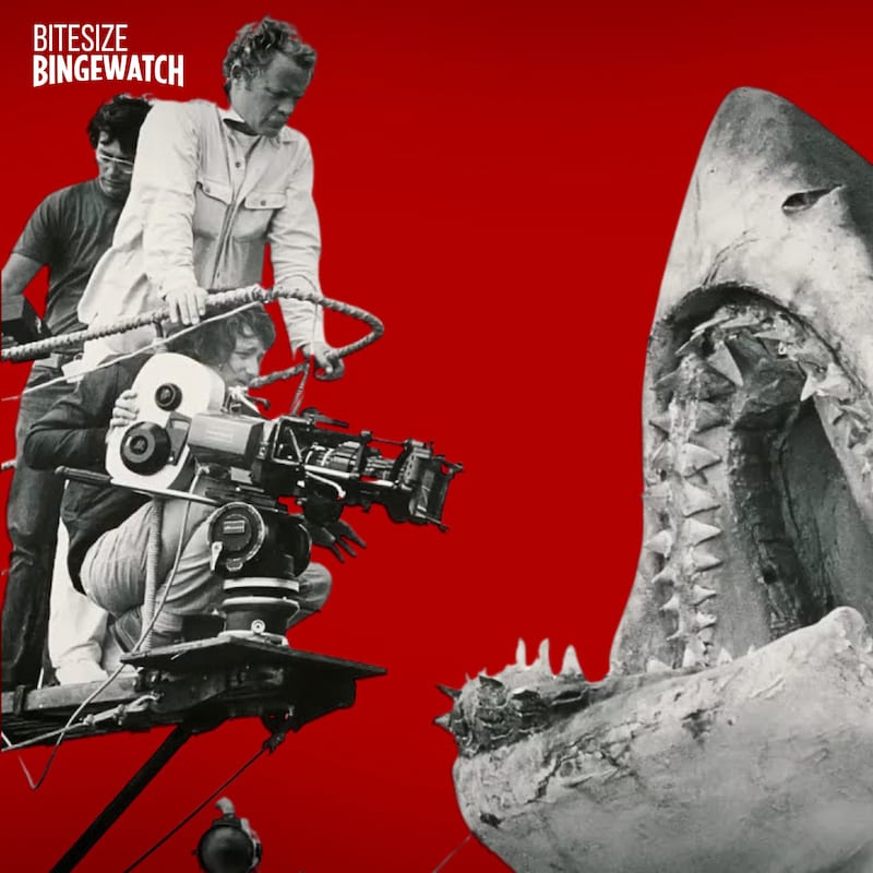 Artwork for podcast Bitesize Bingewatch