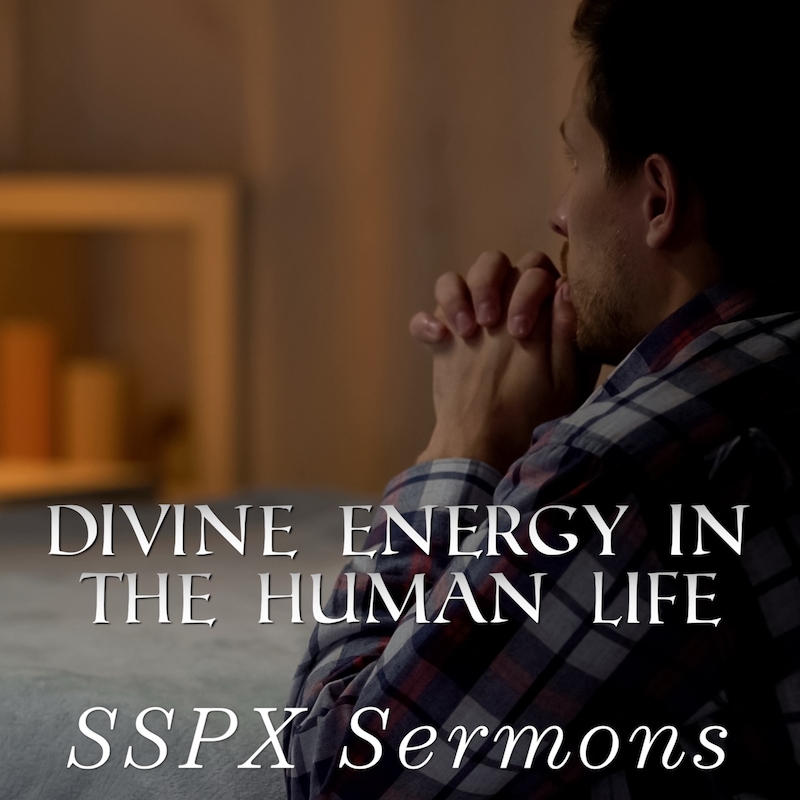 Artwork for podcast SSPX Sermons