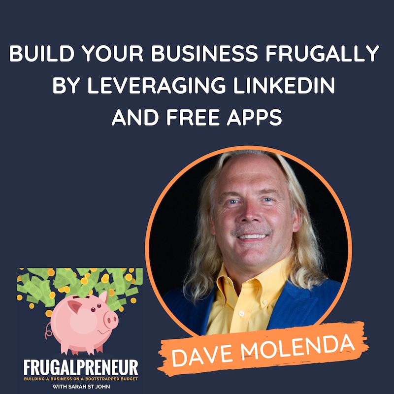 Artwork for podcast Frugalpreneur: Building a Business on a Bootstrapped Budget
