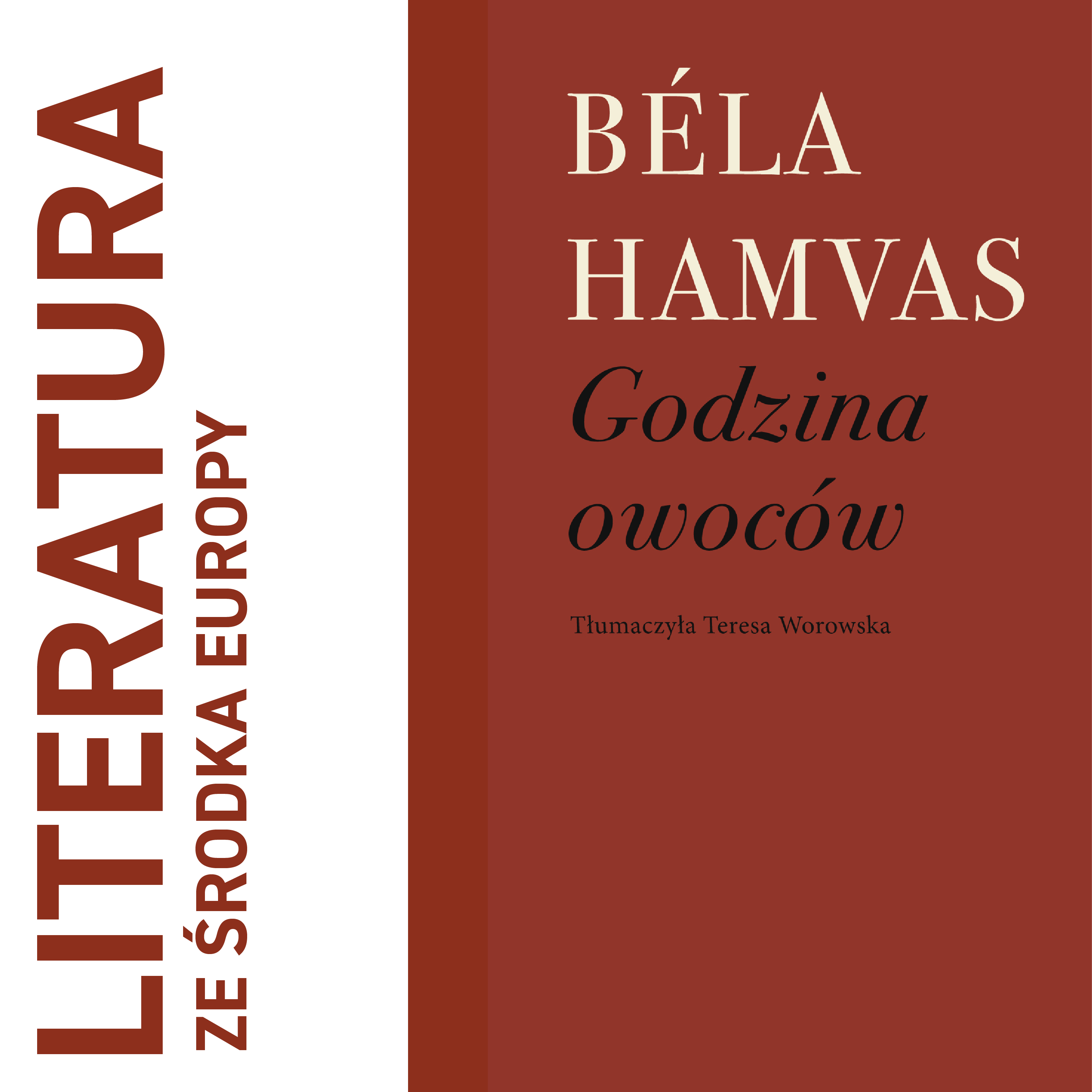 literatura ze środka Europy