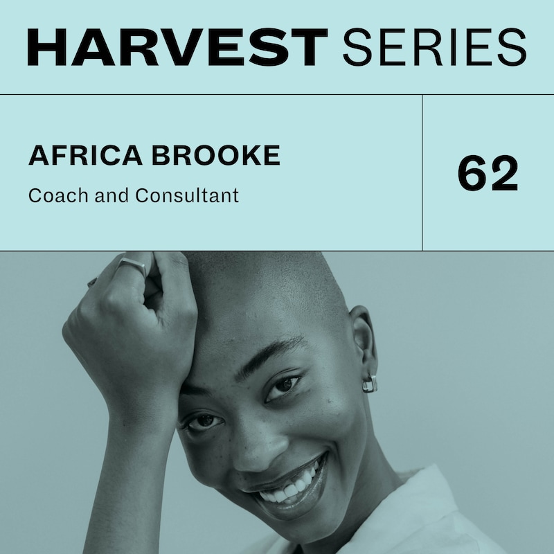 Artwork for podcast Harvest Series